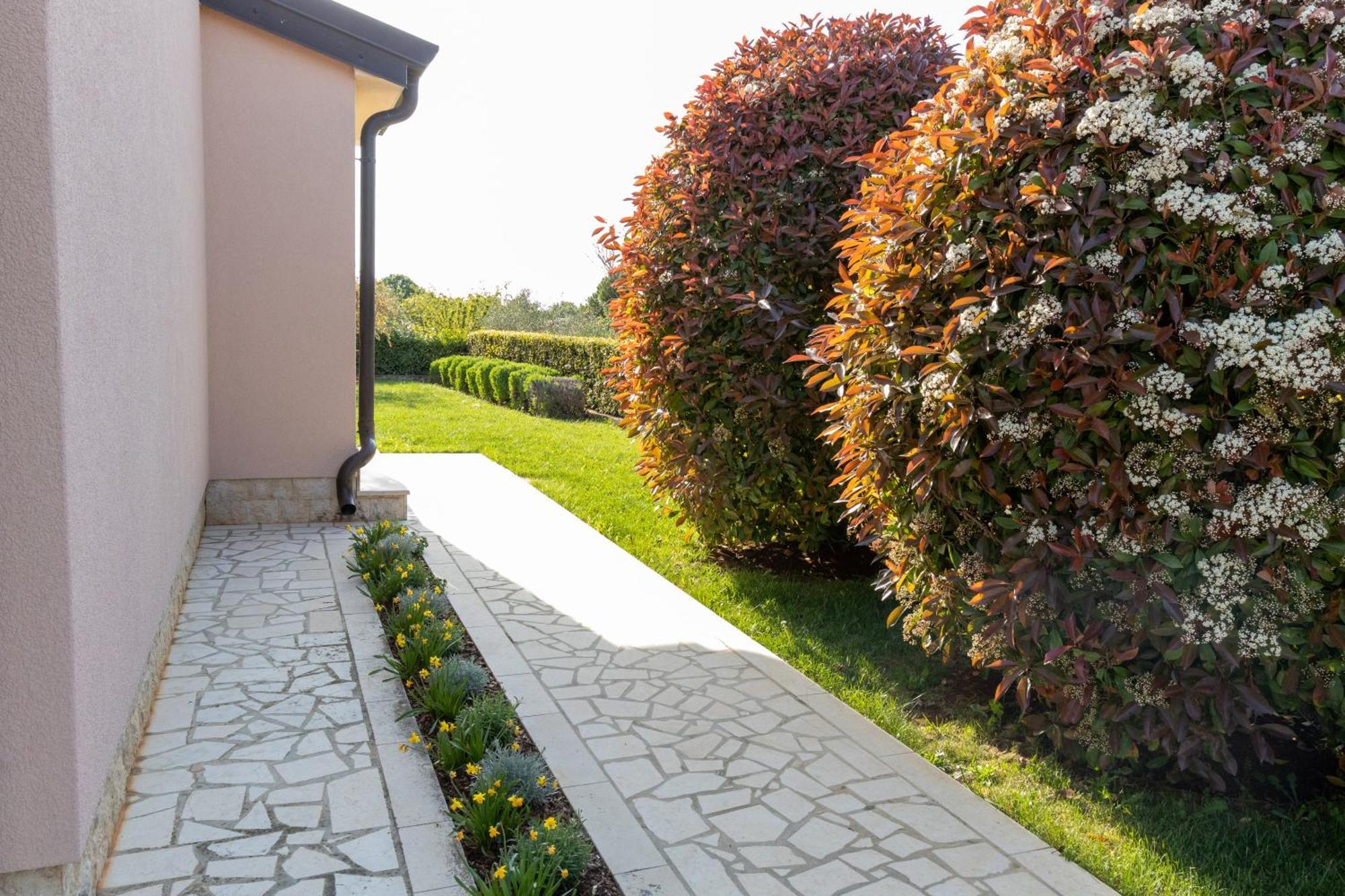 Country House Nina Nova Vas  Exterior photo
